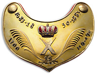 Знак лейб гвардии преображенского полка